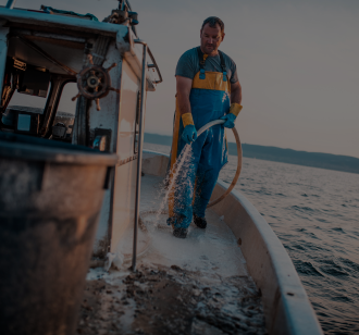 Best Cleaning & Electrical Services in South Africa